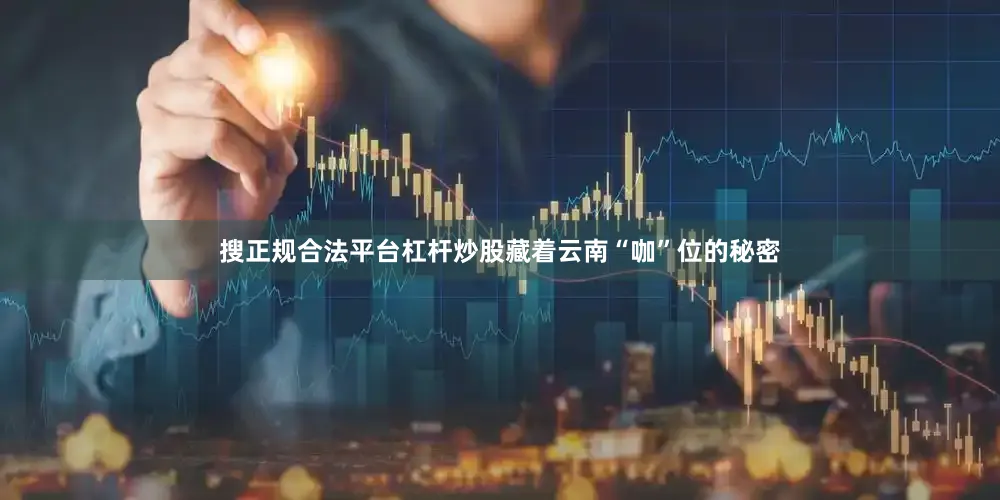 搜正规合法平台杠杆炒股藏着云南“咖”位的秘密