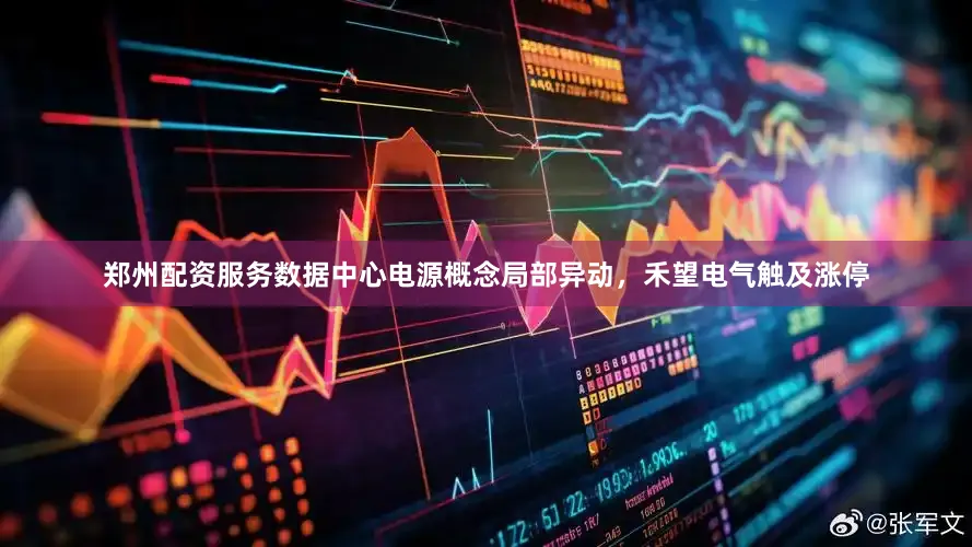 郑州配资服务数据中心电源概念局部异动，禾望电气触及涨停